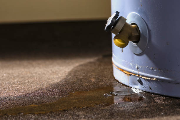 Water damage restoration mold remediation in Westworth Village, TX
