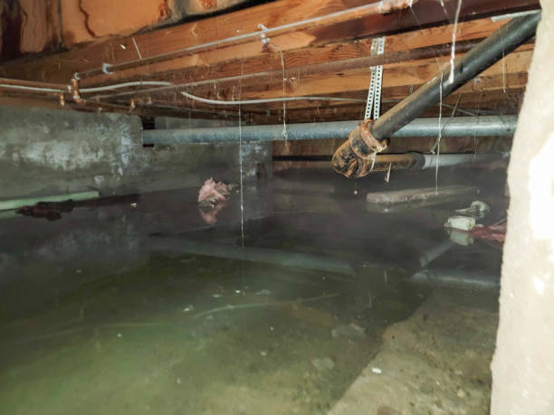 Carpet water damage restoration in Westworth Village, TX