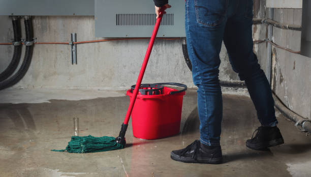 Water damage restoration mold remediation in Westworth Village, TX