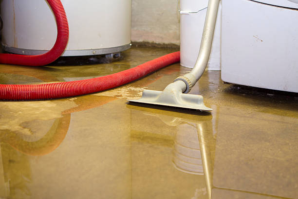 Best Water damage restoration near me  in Westworth Village, TX