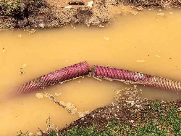 Trusted Westworth Village, TX Water damage restoration Experts