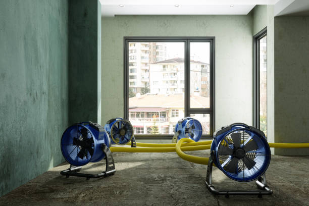 Best Water damage contractors near me  in Westworth Village, TX